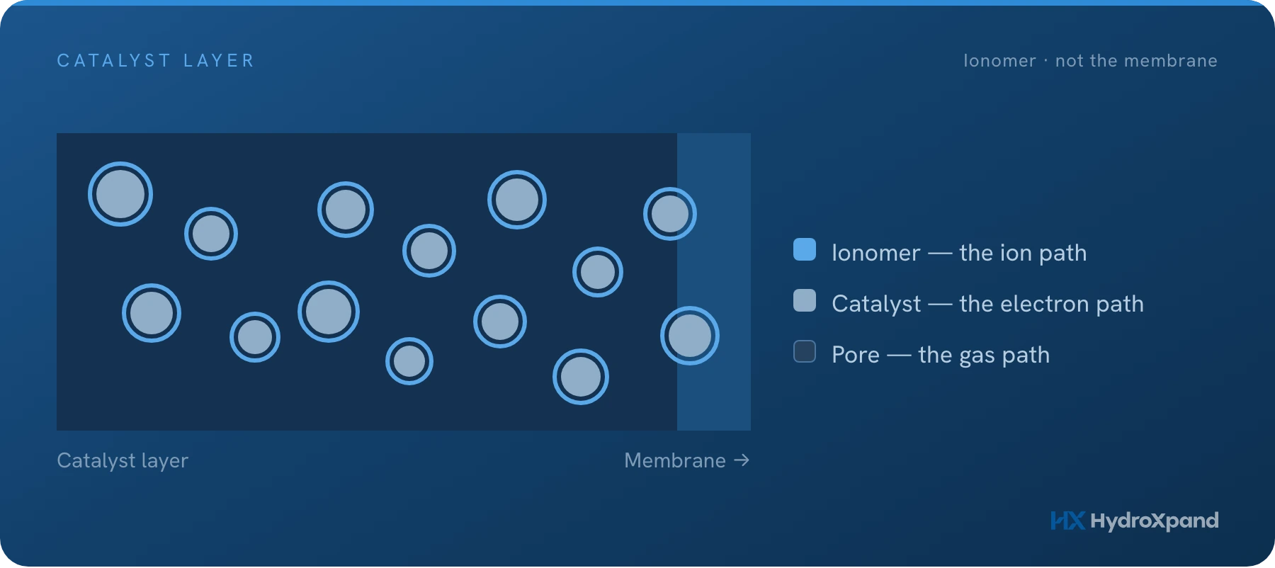 The ionomer: the polymer inside the catalyst layer, and why its amount decides performance